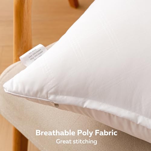 Oubonun 18x18 Inches Pack of 2 Throw Pillows Inserts, White Square Cushion Inner Soft Fluffy Plump Stuffer Pillows Inserts for Sofa Bed Couch - size: 18×18 inch