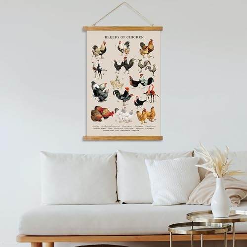 ABoby Vintage Illustrated Chicken Breeds Posters - Farmhouse Wall Art - Retro Style Wall Decor Painting with Wood Frames - Ready to Hang - color: Chicken