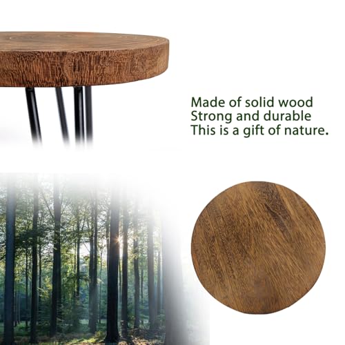 OBTAIN Plant Stand Indoor Outdoor Wood Mid Century Plant Stand for Indoor Plants, Modern Plant Table Round Plant Stool, Boho Rustic Wooden Stool for Plant Pot Hol (L) - color: Dark Brown, size: Large