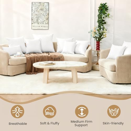 BHZ Euro Throw Pillow Inserts, 26x26 Down Feather Alternative Pillow Inserts Set of 2, Decorative Soft Large Square White Throw Pillows Insert for Couch Bed Dorm Sofa with Breathable Cover - color: White, size: 26x26 inch (Pack of 2)