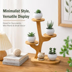4 Tiered Desk Plant Stand Bamboo Tree Plant Shelf Tabletop Succulent Herb Stand Desktop Plant Stand Indoor Plant Rack for in Living Room Office Decoration (4 Tiered) - size: 4 Tiered