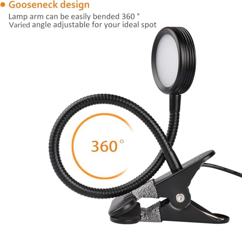 LEPOWER Clip on Light/Reading Lights/Book Light/Desk Lamp Color Changeable/Night Lights Clip on for Desk, Bed Headboard and Computers, Adapter Included (Black) Metal - color: Black