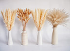 Natural Dried Pampas Grass Decor, Beige Pampas Grass, Bunny Tails Dried Flowers, Reed Grass Bouquet for Wedding Boho Flowers Home Table Decor, Rustic Farmhouse Party (100 in Total ) - size: 100PCS-Beige
