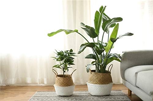2 PACK LiloCraft Seagrass Plant Basket (Size: 12x11inches, Pattem: White Bottom) - TheMulti Functional Home Decor Storage Solution with Eco-Friendly, Woven Basket Planter Indoor with Handles, Round