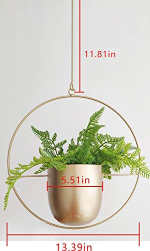 RISEON Boho Gold Metal Plant Hanger,Metal Wall and Ceiling Hanging Planter, Modern Planter, Mid Century Flower Pot Plant Holder, Minimalist Planter for Indoor Outdoor Home Decor - color: Gold, size: Round shape
