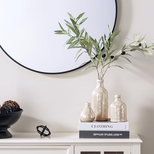 Ceramic Vase Set of 3, Decorative Vases Home Decor Modern Neutral Flower Pampass Boho Vase for Living Room, Table, Mantel, Entryway, Bookshelf, Kitchen, Bedroom, Bathroom - White - color: 009-white