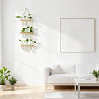 Hyindoor Wall Hanging Propagation Stations 3 Tired Wall Planter Terrarium with Wooden Stand and Glass Test Tubes Plant Hanger Flower Vase for Home Office Wall Decor Hydroponic Cuttings - size: Medium-9 Tubes
