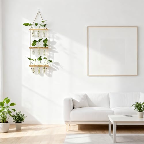 Hyindoor Wall Hanging Propagation Stations 3 Tired Wall Planter Terrarium with Wooden Stand and Glass Test Tubes Plant Hanger Flower Vase for Home Office Wall Decor Hydroponic Cuttings - size: Medium-9 Tubes