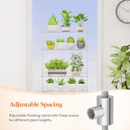Lifewit 2-Tier Window Plant Shelves 15", Acrylic Adjustable Hanging Floating Shelf, Window Sill Extender for Succulent Plants, Micro Greens, Seed Starter Pots, Herb Planters 38 x 15 cm/15x6 - size: 2-Tier