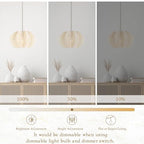 White Rattan Pendant Light 12.6 in Hemp Rope Rattan Light Fixture Woven Pendant Wicker Chandelier Boho Chandelier for Kitchen - color: 12.5" White