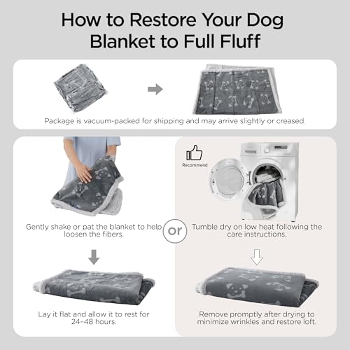 Bedsure Waterproof Dog Blankets for Small Dogs - Soft Print Sherpa Fleece Puppy Cat Blanket Washable, Cozy Plush Reversible Throw Furniture Protector for Pet Kitten Doggy, 25"X35", Anchor Gray - color: Anchor Gray-dog, size: S(25x35")