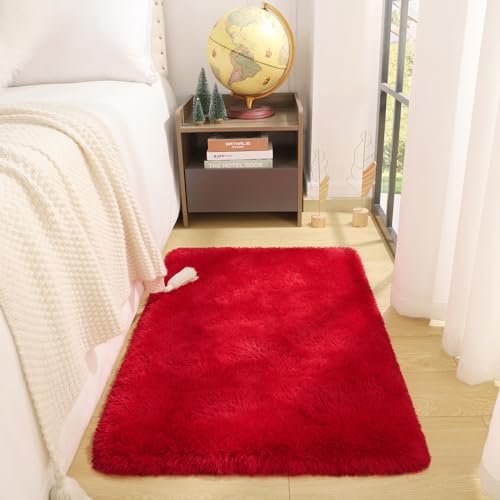 DETUM Small Red Rug 2x3 Fluffy Area Rug for Bedroom Kitchen Entryway Hallway Washable Super Soft Throw Carpet for College Dorm Plush Rugs for Kids - color: Red, size: 2 x 3 feet