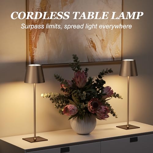 Kakanuo Brown Cordless Rechargeable Table Lamp 5000mAh Battery Operated Lamps, 3 Colors Stepless Dimming Touch Lamp for Living Room, Kitchen Counter, Dining, Outdoor Patio, 2 Pack - color: Brown 1, size: 2 Pack 14in - Up and Down Light