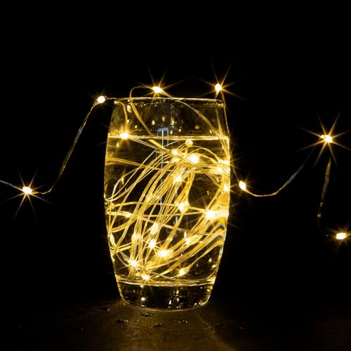 Fairy Lights Plug in,100FT 300LEDs Waterproof Led String Lights,8 Modes Remote Twinkle Light for Outdoor Indoor Christmas Wedding Birthday Garden Party Decorations,Silver Wire,Warm White - color: Warm White, size: 100FT 300Leds