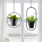 Modern Metal Hanging Planters Set of 2 - Round and Oval Geometric Plant Hangers with 5 Inch Pots - Black Wall and Ceiling Mount Flower Holders for Indoor and Covered Outdoor Décor - size: CIRCLE +OVAL - 5 INCH POT