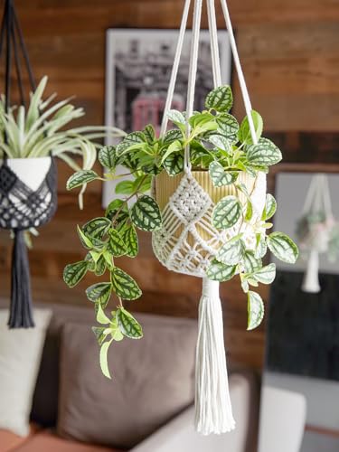 Hanging Planter with Patterns,2Packs Macrame Plant Hangers Indoor Macrame for up to 8 inch Pot Crochet Boho Plant Hanger Holder for Indoor Outdoor with 2S Shaped Stainless Steel Hooks (White) - color: White