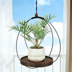 4pcs Circle Plant Hanger, Adjustable Height Hanging Planters with Sturdy Wooden Base & Planter Basket Holder, Modern Boho Flower Pot Plant Display Decor for Indoor Wall Ceiling Window