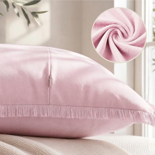 HOMEIDEAS Light Pink Velvet Throw Pillow Covers 20x20 Set of 2, Luxury Decorative Pillow Covers with Short Fringe Tassels, Modern Farmhouse Boho Cushion Covers for Sofa Couch Bed Neutral Home Decor - color: Pink, size: 20" x 20" (Pack of 2)
