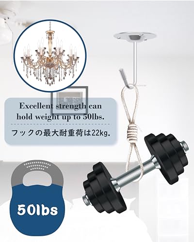 NACETURE Ceiling Hooks for Hanging Plants 3 Pack - Plant Hanger Indoor Hanging Hooks Metal Plant Bracket Iron Lanterns Hangers for Wind Chimes (Stainless Steel 3 Pack) - color: Stainless Steel 3 Pack