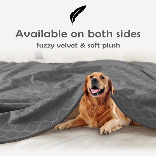 fuguitex Waterproof Dog Blanket Bed Cover Dog Crystal Velvet Moroccan Fuzzy Cozy Plush Pet Blanket Throw Blanket for Couch Sofa(82 * 82 inch, Dark Grey+Grey) - color: Darkgrey+grey, size: 82x82 Inch (Pack of 1)