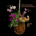 Handmade 100% Thai Bamboo 6 Inch Signature Super Sanctuary SIAM Orchid Hanging Basket with Nursery Grade Coconut Shell Staves Coir Pith Sponge & Husk Mulch - color: 6 Inch Signature Super Sanctuary