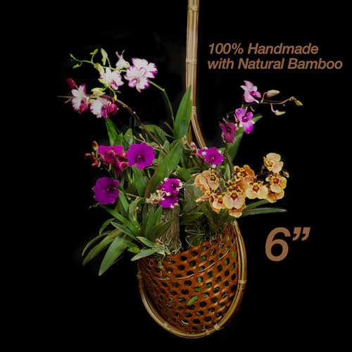 Handmade 100% Thai Bamboo 6 Inch Signature Super Sanctuary SIAM Orchid Hanging Basket with Nursery Grade Coconut Shell Staves Coir Pith Sponge & Husk Mulch - color: 6 Inch Signature Super Sanctuary