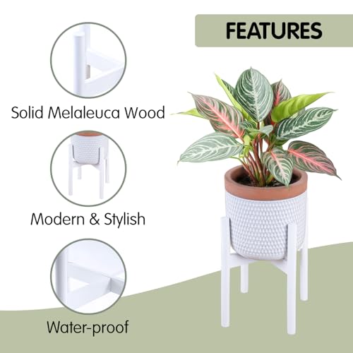 Wood 11.9" x 12.5" Plant Stand Indoor Outdoor, Wooden Single Floor Plant Pot Holder, Natural Plant Stand, Assembly Required (Excluding Potted Plants) - color: White, size: 12.5" H x 11.9" W