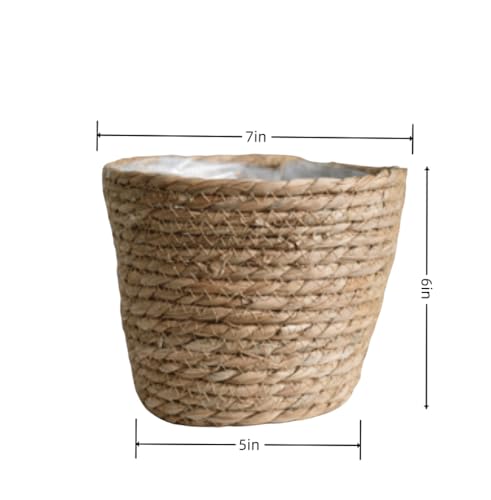 Seagrass Planter Basket Set With Plastic Lining Woven Storage Basket 7x6 In Indoor And Outdoor Plant Flowerpot Baskets Are Very Suitable For Flowerpot Covers. Natural Plant Containers (Small) - color: Small
