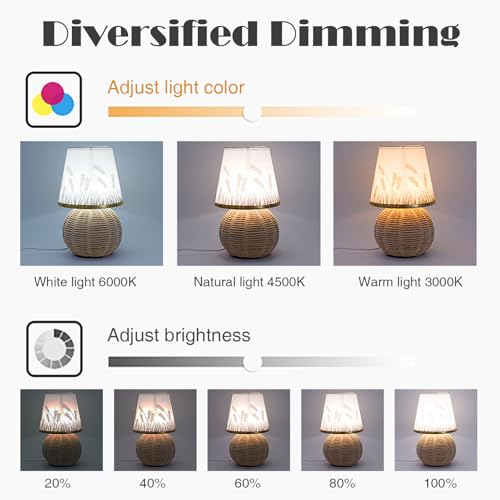 Vintage Small Wicker Lamp, Rattan Body Fabric Lampshade, Adjustable Light Color and Brightness, Power-Off Memory, Safe USB Powered, Boho Style Night Light for Bedroom Living Room (Sphere-Wheat) - color: Sphere-Wheat