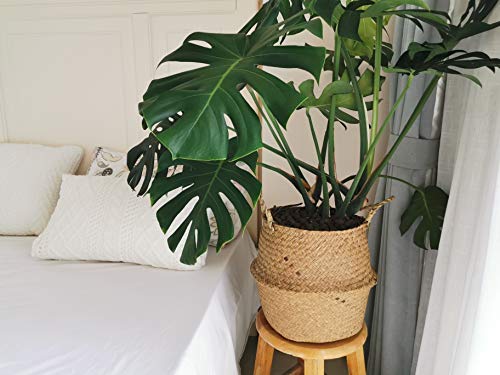 DOKOT Seagrass Plant Basket with Handles, Wicker Woven Storage Basket, 9.5inch Diameter x 11inch Height - size: L(9.5" D x 11" H)