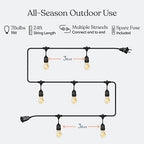 Brightech Ambience Pro Incandescent Outdoor String Lights - Commercial Grade Waterproof Patio Lights with 24 Ft Dimmable Edison Bulbs, Porch String Lights for Patio, Backyard, Christmas - 7 Bulbs 11W - size: 24 FT - 7 Bulbs