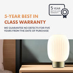 ‎Newhouse Lighting Altura, Brass 2700K Dimmable Cordless USB-C Rechargeable Glass Table Lamp NHTL-AL-BRS, Cordless Desk Lamp for Living Room, Bedroom, Coffee Table, and Other Cozy Home Decor - style: Altura Table Lamp