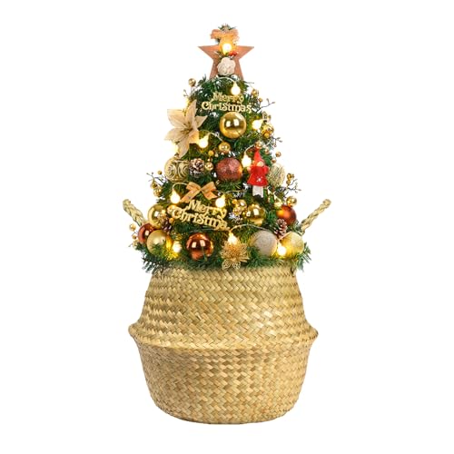 Seagrass Plant Basket with Handles Set of 3 - Woven Belly Basket Planter with Liner for Indoor Plants, Olive Tree, Monstera, Snake Plant, Faux Tree, 8" 9" 10" 12 Inch Pots, Boho Floor Basket