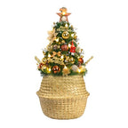Seagrass Plant Basket with Handles Set of 3 - Woven Belly Basket Planter with Liner for Indoor Plants, Olive Tree, Monstera, Snake Plant, Faux Tree, 8" 9" 10" 12 Inch Pots, Boho Floor Basket