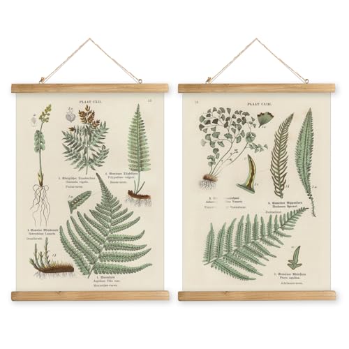 2 Pack Vintage Poster Hanger Frame, Retro Style Wall Decor Art Painting, Patterns are Printed on Linen Without Fading, Living Room Office Classroom Bedroom Playroom Apartment Decor. (Ferns) - color: 2 x Fern Botanical, size: 23"L x 16"W