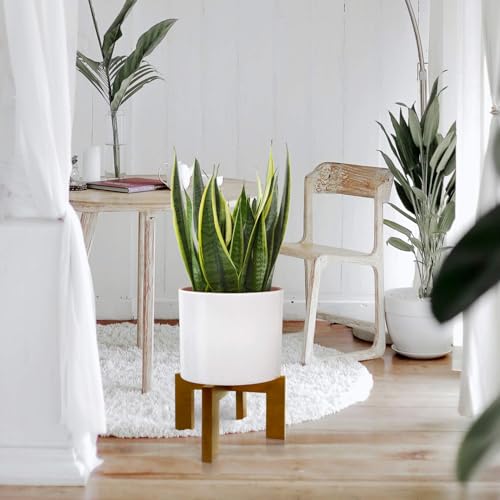 2 Pack Plant Stand Indoor Outdoor, Mid Century Plant Stand for Indoor Plants, Wood Modern Plant Holder Rattan Flower Plant stool, Low Short Boho Rustic Planter Stand, Fit 5-15 Inch Pot - color: 2 Pack Brown