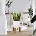 Wood Plant Stand, Mid Century Modern Planter Stand Rattan Flower Pot Stand, Low Short Plant Stands Indoor - Boho Rustic Wooden Stool for Plant Pot Holder, Fit 5-15 Inch Pot - color: 1 Brown