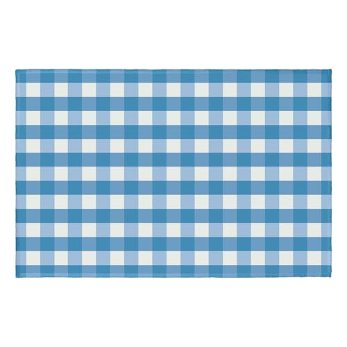 Blue and White Buffalo Plaid Area Rug 2x3 Summer Check Farmhouse Decorative Front Door Mat Small Non-Slip Low Pile Front Doormat Washable Throw Rugs for Living Room Bedroom Bathroom Kitchen - color: Buffalo Plaid Blue and White