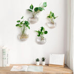 Mkono Wall Hanging Planter Propagation Station Glass Flower Vase for Hydroponics Plants, Bathroom, Home Office Living Room Decor Gift, Oblate Set of 4(Plants not Included)
