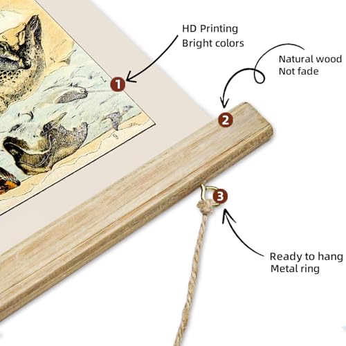 ABoby Vintage Illustrated Wildlife Chart Posters - Educational Animal Wall Art for Schools Homes - Retro Style Painting with Wood Frames - color: Wildlife