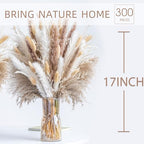 300PCS Natural Dried Pampas Grass Boho Home Decor Bouquet Phragmites Dried Flowers Bouquet for Wedding Floral Arrangements Home Decorations (300PCS) - size: 300 Pcs