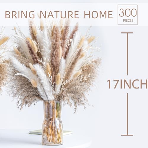 300PCS Natural Dried Pampas Grass Boho Home Decor Bouquet Phragmites Dried Flowers Bouquet for Wedding Floral Arrangements Home Decorations (300PCS) - size: 300 Pcs