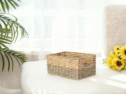 YAHUAN Natural Water Hyacinth & Seagrass Woven Storage Baskets – Wicker Storage Basket Organizer Bins with Handles for Home & Office Pantry Shelf (Small) - color: Small