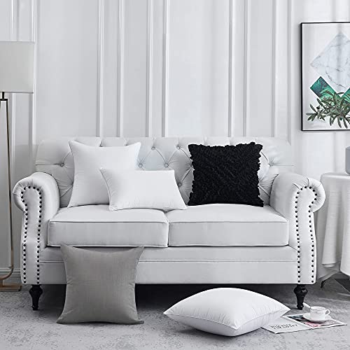 FAVRIQ 16 x 16 Pillow Inserts (Set of 2) - 16 Inch Square Interior Sofa Throw Pillow with 100% Cotton Cover - Decorative Pillow Insert Pair - White Couch Pillow - size: 16x16 Inch