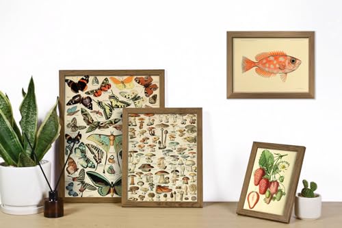 ANERZA 16 PCS Framed Vintage Wall Art Decor, Botanical Cottagecore Wall Prints for Bedroom, Gallery Wall Frame Set, Farmhouse Posters for Living Room Aesthetic, Rustic Dorm Home Collage Kit - color: Drab, size: 12"x15" Framed