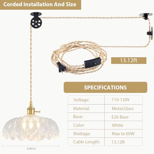 Pendant Light Fixture - color: Hibiscus Transparent