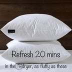 basic home® Hotel-Style Goose Feather Pillow Insert for Sofa & Bed - 100% Odorless & Plump Cushion Filler - 233TC Cotton with Inner Liner to Prevent Poking (20x20 Inch) - size: 20x20