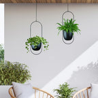 Modern Metal Hanging Planters with 6 Inch Pots and Sturdy Rods - Set of 2 Oval Geometric Plant Hangers - Black Wall and Ceiling Mount Flower Holders for Indoor and Houseplants - size: OVAL-6 INCH POT