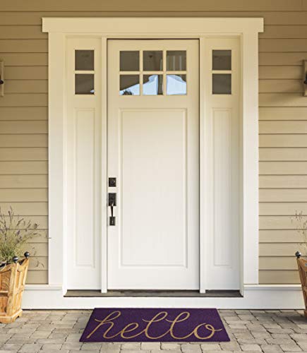 DII Hello Coir Fiber Doormat Non-Slip Durable Outdoor/Indoor, Pet Friendly, 18x30, Purple - color: Purple
