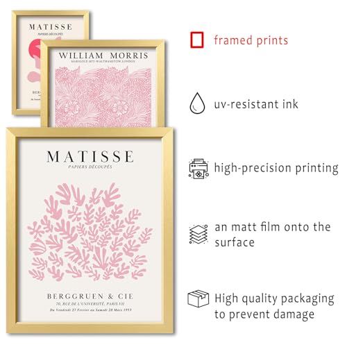 ANERZA 16 PCS Framed Pink Wall Art Decor, Matisse Wall Prints for Bedroom, Gallery Wall Frame Set, Minimalist Posters for Living Room Aesthetic, Collage Kit, Teen Girls Dorm Home Artwork - color: Pink, size: 12"x15" Framed